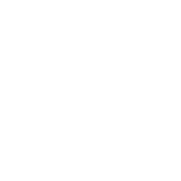 Edit Icon